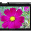 دوربین دیجیتال سامسونگ NX2000
