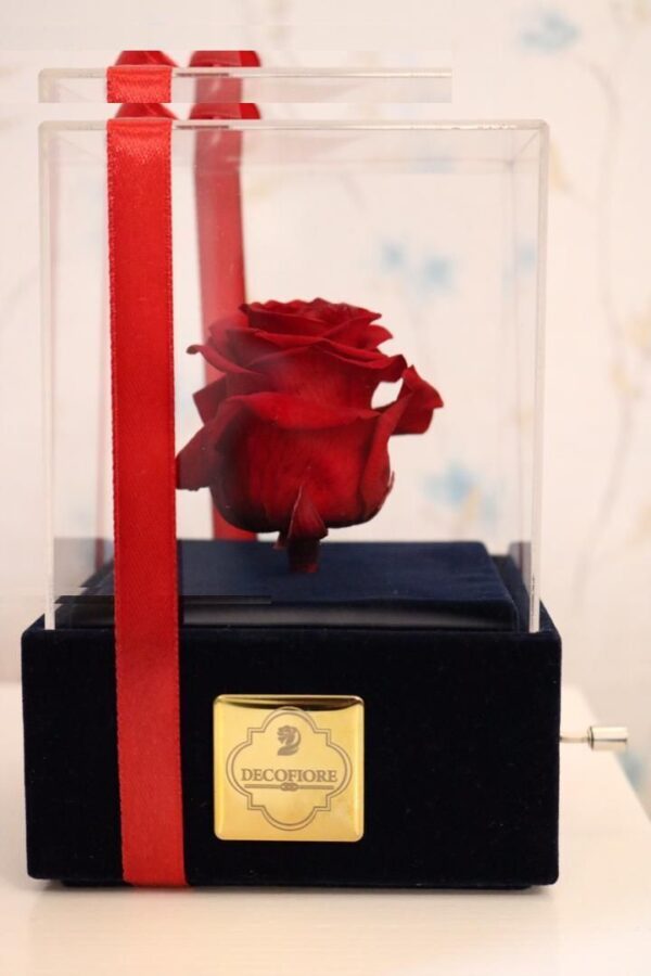 جعبه موزیکال گل ماندگار دکوفیوره مدل رز جاودان ملودی های عاشقانه