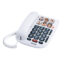 تلفن  آلکاتل مدل TMAX 10