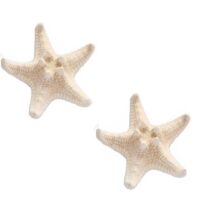 ستاره دریایی مدل sma6 مجموعه 2 عددی