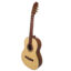 گیتار کلاسیک بنبرگ مدل BG 491
