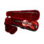ویولن آکوستیک کارل هافنر مدل AS-180-V