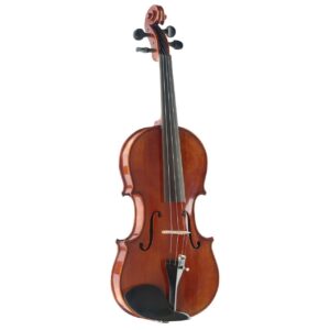 ویولن آکوستیک استگ مدل VN-4/4 HG