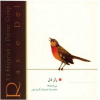 آلبوم موسیقی راز دل - محمدرضا شجریان
