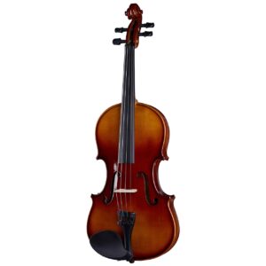 ویولن آکوستیک استگ مدل VN-1/2 L