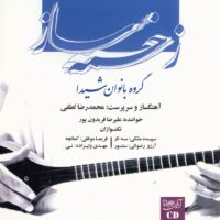 آلبوم موسیقی زخمه ساز اثر محمدرضا لطفی