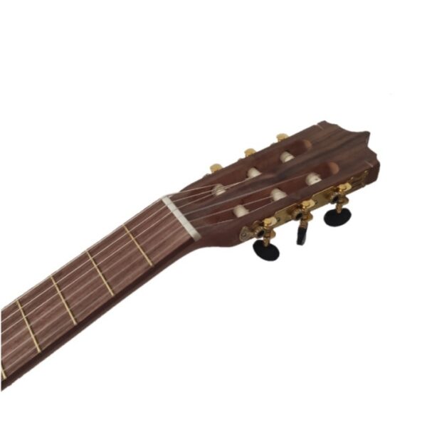 گیتار پارسی مدل p70