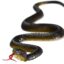 بسته 2 عددی مار اسباب بازی مدل SMALL SNAKE