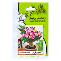 بذر گل آدونیوم قرمز آرکا بذر ایرانیان کد 66-ARK
