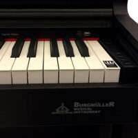 پیانو دیجیتال برگمولر مدل BM280 Oriental