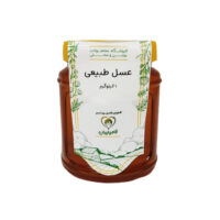 عسل طبیعی دیابتی فامیلیران - 1 کیلوگرم