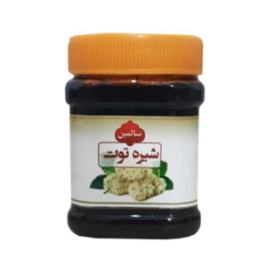 شیره توت سنتی سالمین - 450 گرم