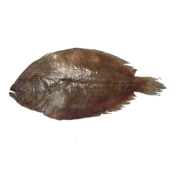 استیک ماهی کفشک ماهی خان - 2000 گرم
