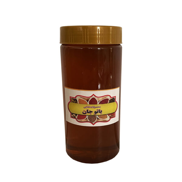 عسل طبیعی بانوجان - ۱۰۰۰ گرم