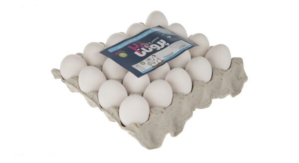 تخم مرغ تازه تنظیم بازار پروتانا بسته 20 عددی