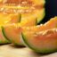 طالبی شاه پسند کوچک Fresh وزن 1 تا 1.5 کیلوگرم