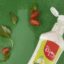 سس ماست بیژن- 450 گرم