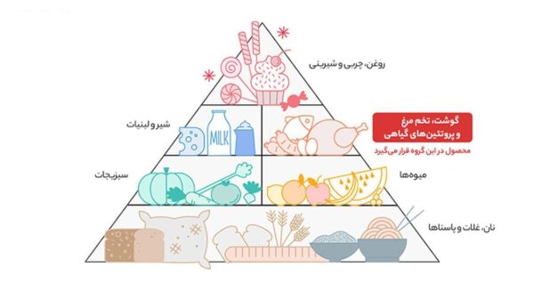 فیله ممتاز گوسفندی پویا پروتئین - 1 کیلوگرم