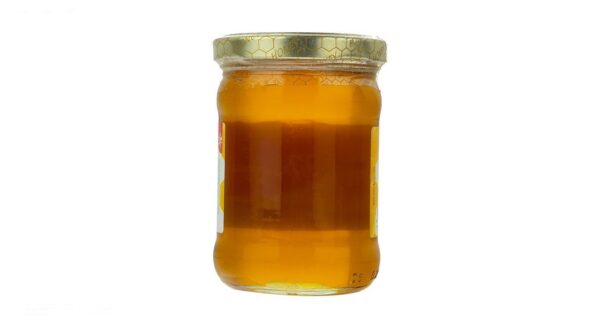 عسل بیژن - 300 گرم