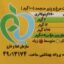 کراکت مرغ و پنیر پمینا مقدار 390 گرم