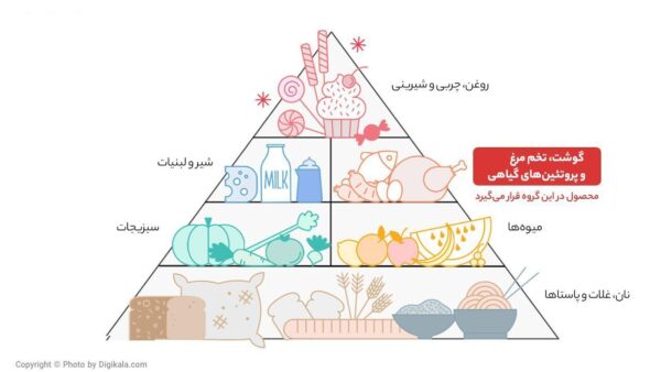 میگو سایز 40-36 بیستون - 500 گرم