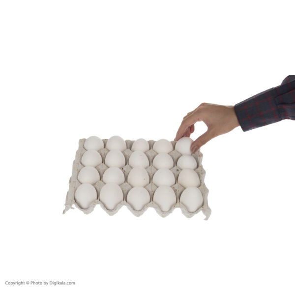 تخم مرغ سوباتان  بسته 20 عددی