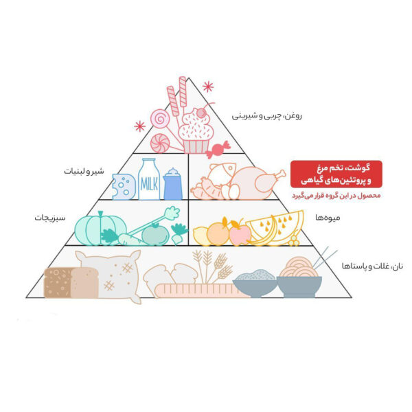 گردن گوسفندی منجمد کیمبال - 800 گرم