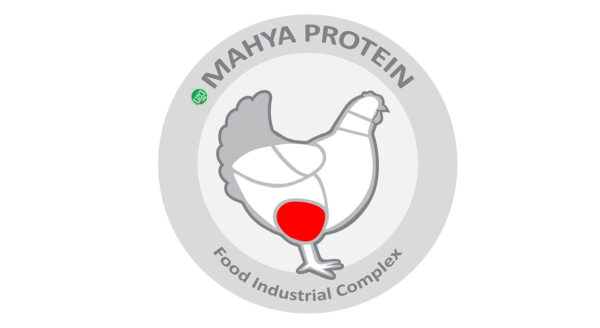 ساق بی پوست ساده مرغ مهیا پروتئین مقدار 0.9 کیلوگرم
