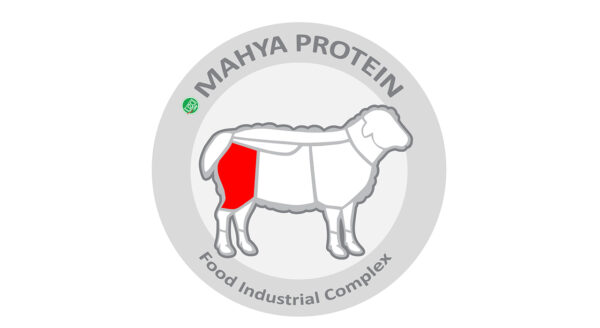 ران گوسفندی داخلی مهیا پروتئین مقدار 2 کیلوگرم