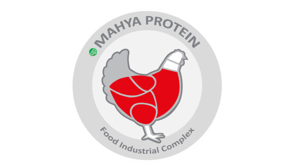 مرغ خرد شده بی پوست مهیا پروتئین مقدار 1.8 کیلوگرم
