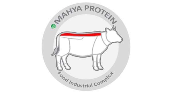 راسته ممتاز گوساله تنظیم بازار مهیا پروتئین - 1 کیلوگرم