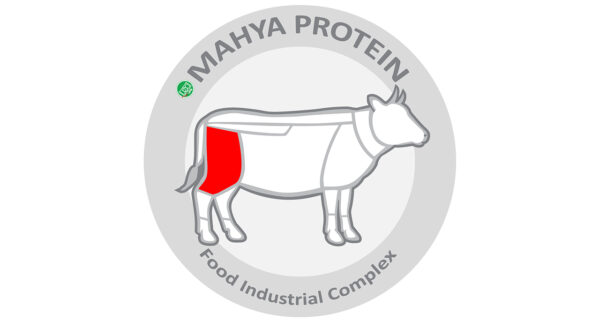 گوشت گوساله خورشتی مهیا پروتئین - 800 گرم