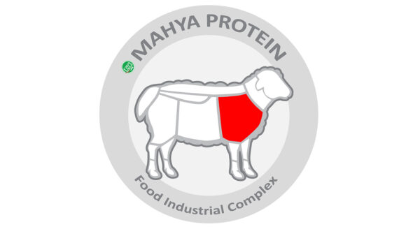 گوشت چرخ کرده مخلوط گوساله و گوسفند مهیا پروتئین مقدار 0.5 کیلوگرم