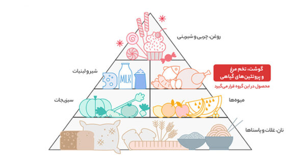 گوشت چرخ کرده مرغ مهیا پروتئین مقدار 0.5 کیلوگرم