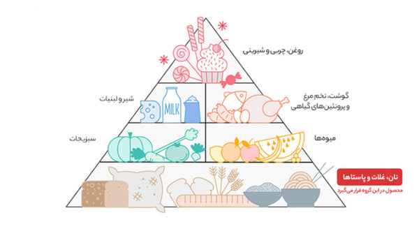 ماکارونی حلزونی تک ماکارون مقدار 500 گرمی