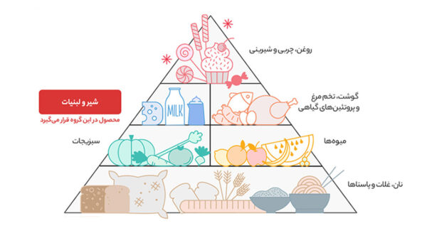 ماست چکیده پرچرب موسیردار چوپان مقدار 500 گرم