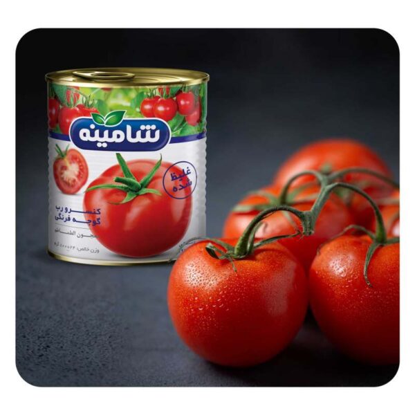رب گوجه فرنگی غلیظ شده شامینه - 800 گرم بسته 12 عددی