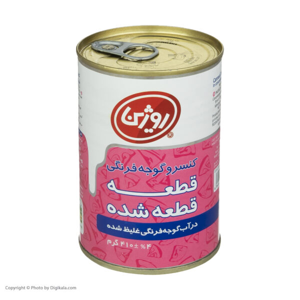 کنسرو گوجه فرنگی قطعه قطعه شده روژین - 410 گرم