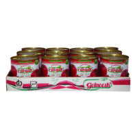رب گوجه فرنگی گلنوش - 800 گرم بسته 12 عددی