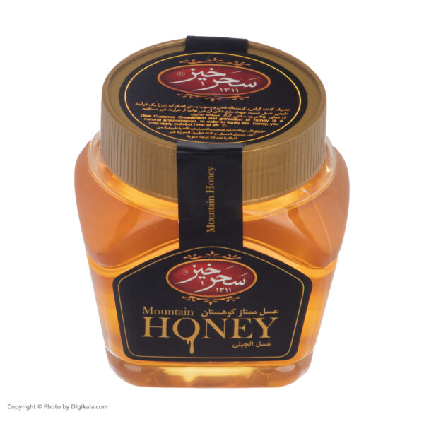 عسل ممتاز کوهستان سحرخیز - 450 گرم