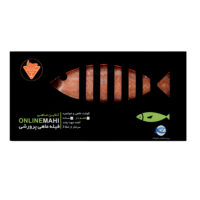 فیله ماهی قزل سالمون آنلاین ماهی -350 گرم